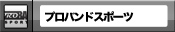 �ץ��Х�ɥ��ݡ���