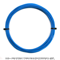 12måʡۥ륽(WILSON) 󥻡(SENSATION) ֥롼 Υѥå [M 1/10]