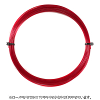 12måʡۥݥեС(Polyfibre) ѥơ(Panthera) å Υѥå[M 1/6]