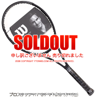 �����륽��(Wilson) 2020ǯ �ץ������å� RF97 V13.0 �����㡼���ե��ǥ顼���ѥ�ǥ� 16x19