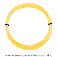 12måʡۥƥ˥եС(Tecnifiber) 󥻥ƥåå (Synthetic Gut)  Υѥå [M 1/10]