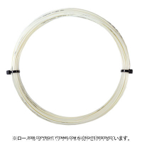 12måʡۥݥեС(Polyfibre) ԥå(Rapid) ۥ磻 Υѥå [M 1/6]