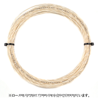 12måʡۥ륽(WILSON) 󥻡 ȥ ʥ륫顼 Υѥå [M 1/6]