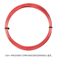 12måʡۥݥեС(Polyfibre) ܥ塼(Evolution) å Υѥå [M 1/6]
