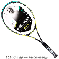 إå(Head) 2021ǯǥ ե360+ ӥƥS 16x20 (285g) 233841 (Gra