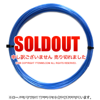 12måʡۥ륭(LUXILON) 2024 ѥ RG(ALU POWER RG) ֥롼 Υѥå [M 1/10]
