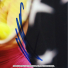 マリア・キリレンコ選手 直筆サイン入り記念フォトパネル 2010年BNLイタリア国際 JSA authentication認証 ローママスターズの画像6